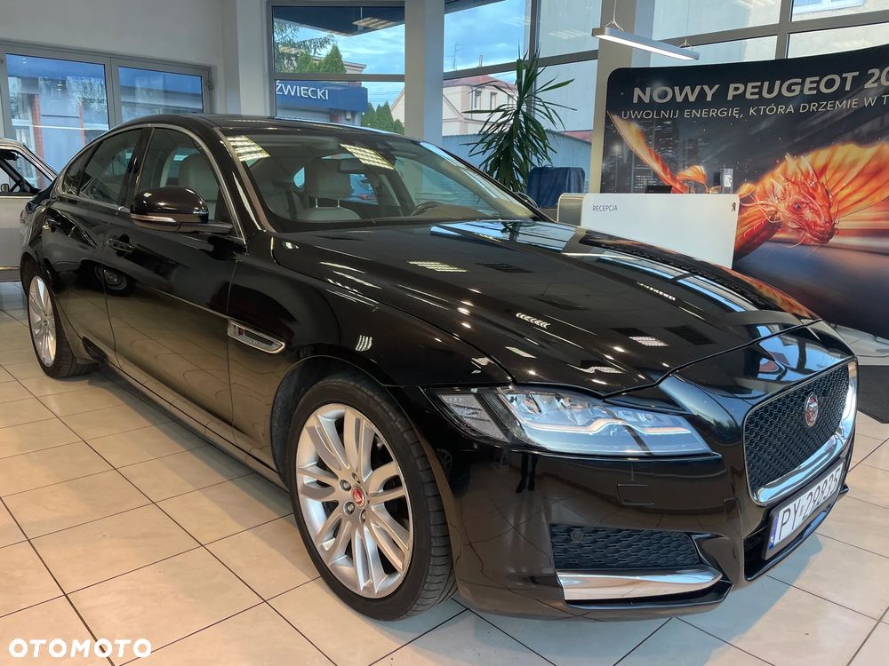 Jaguar XF 2.0 i4D AWD Pure - 5