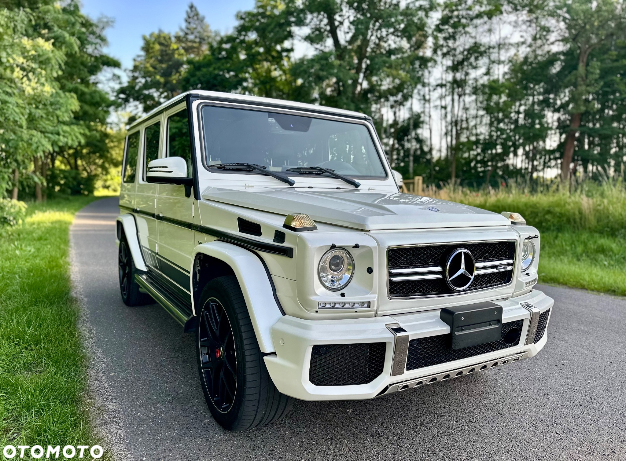 Mercedes-Benz Klasa G AMG 63 AMG SPEEDSHIFT 7G-TRONIC Edition 463 - 9