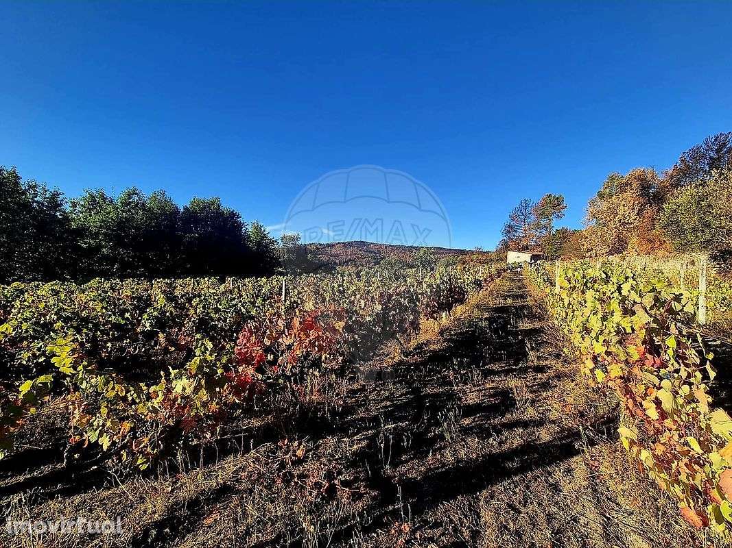 Terreno  para venda - Grande imagem: 2/11