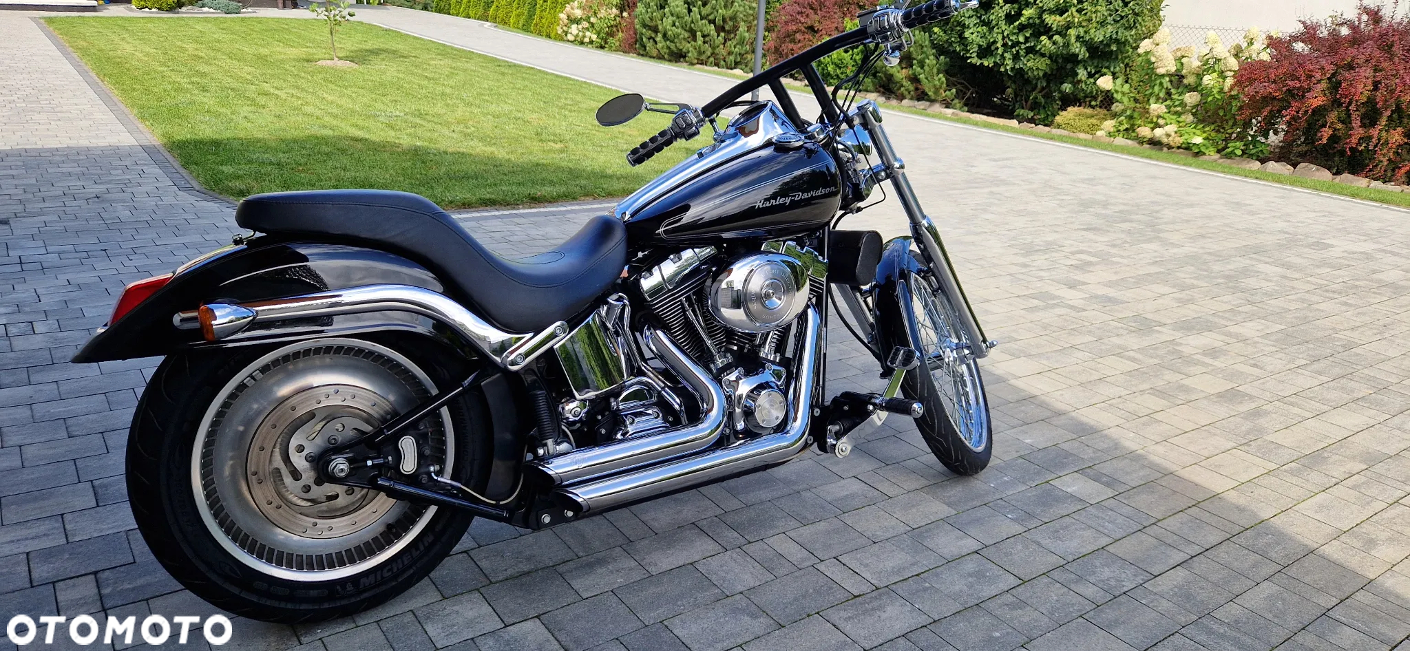 Harley-Davidson Softail - 5