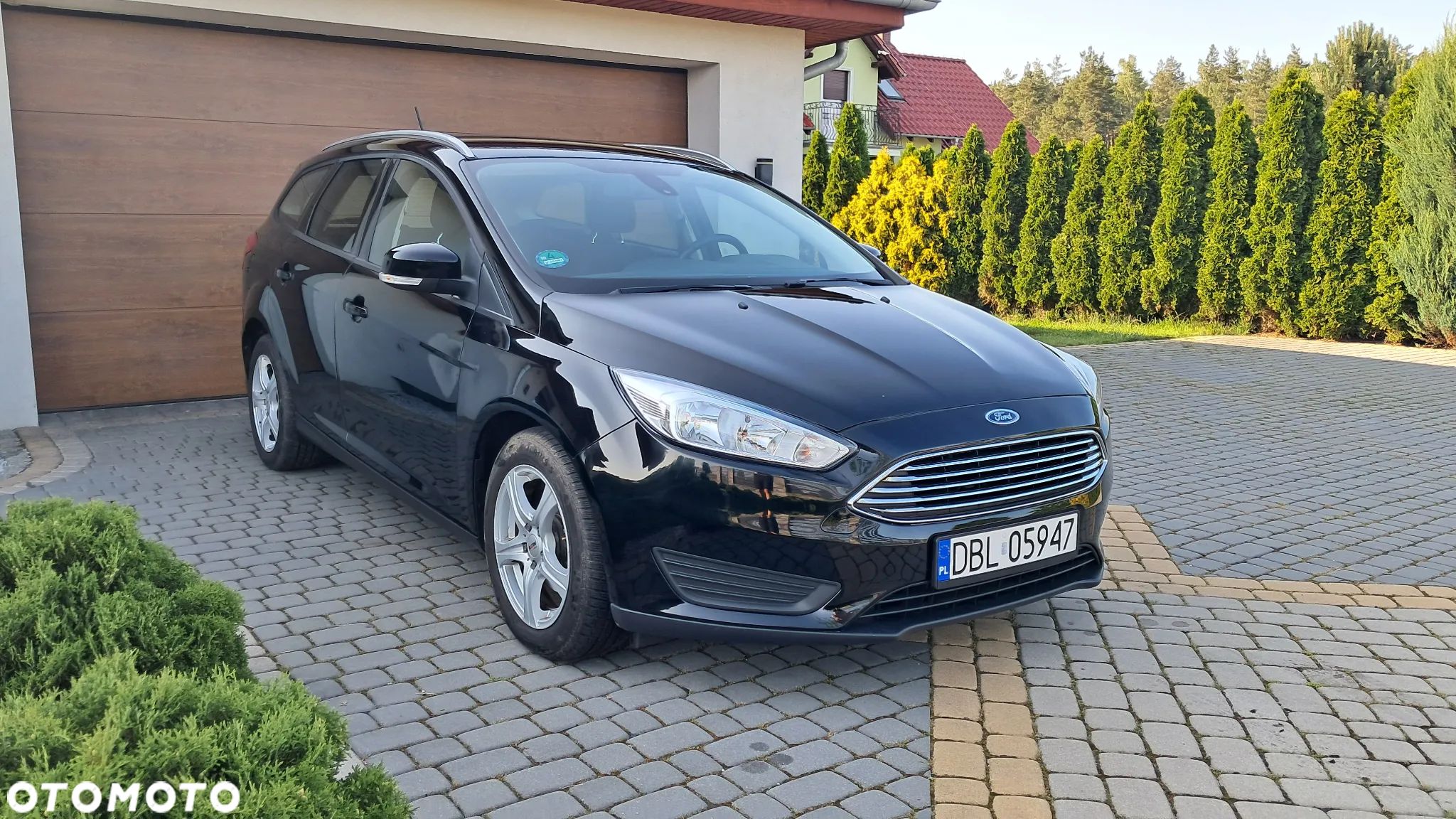 Ford Focus - 1