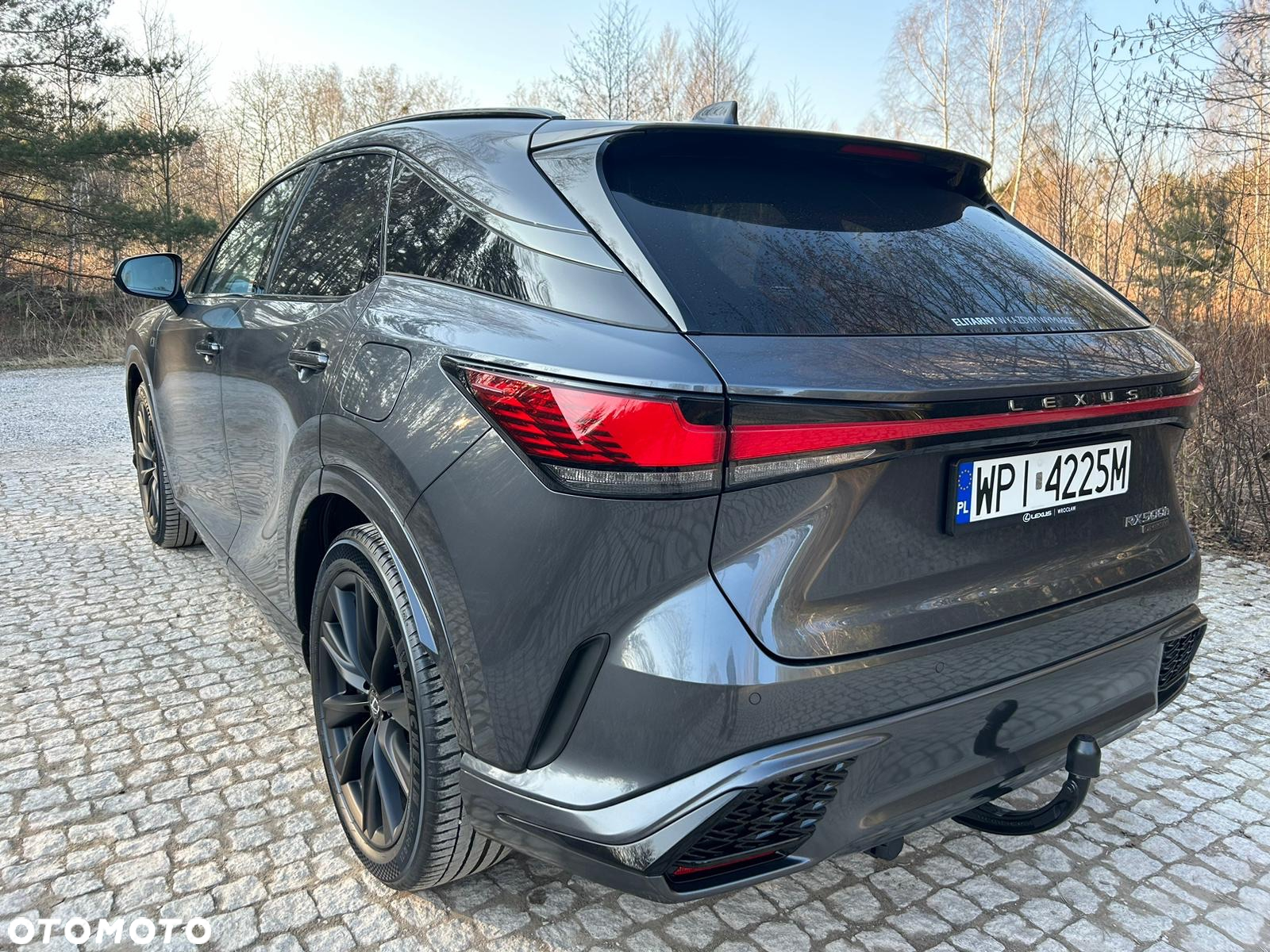 Lexus RX 500h F Sport - 9