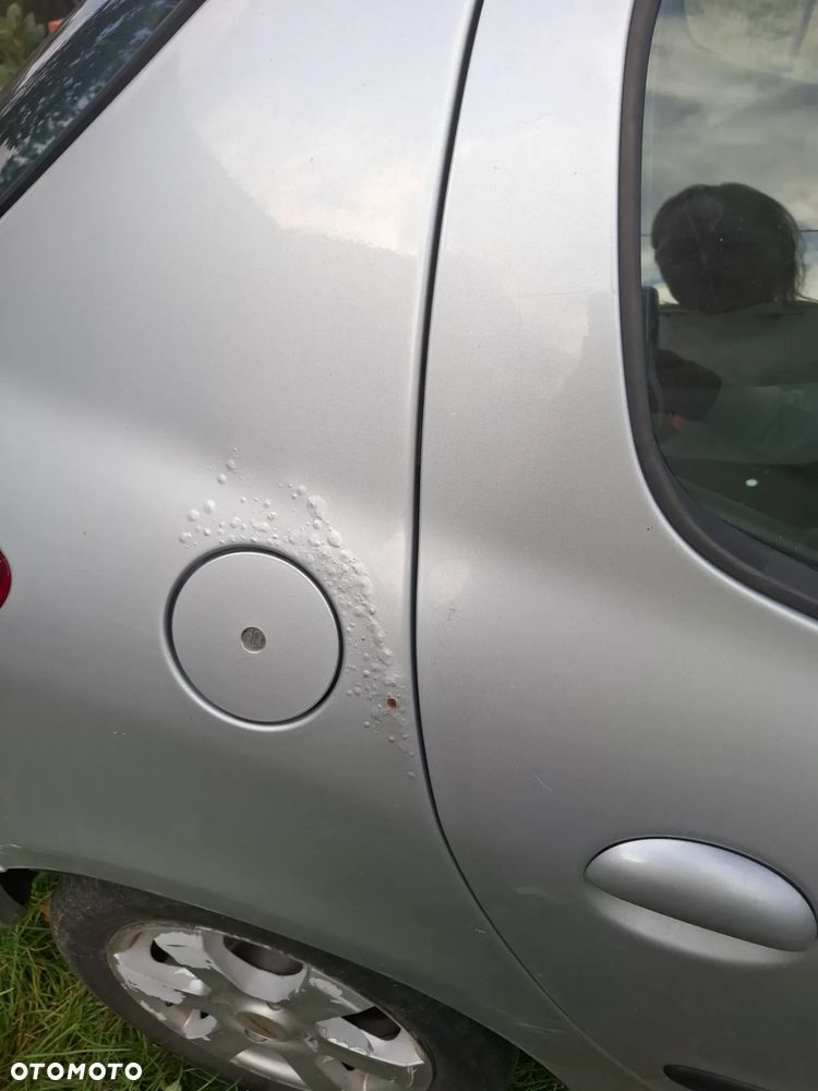 Peugeot 206 plus - 7