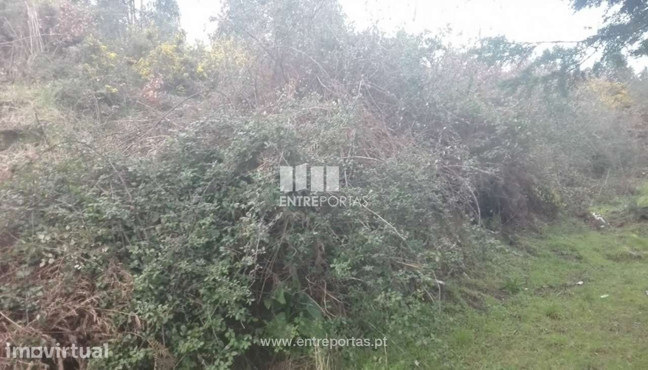 Venda Terreno, Sande, Marco de Canaveses - Grande imagem: 4/6