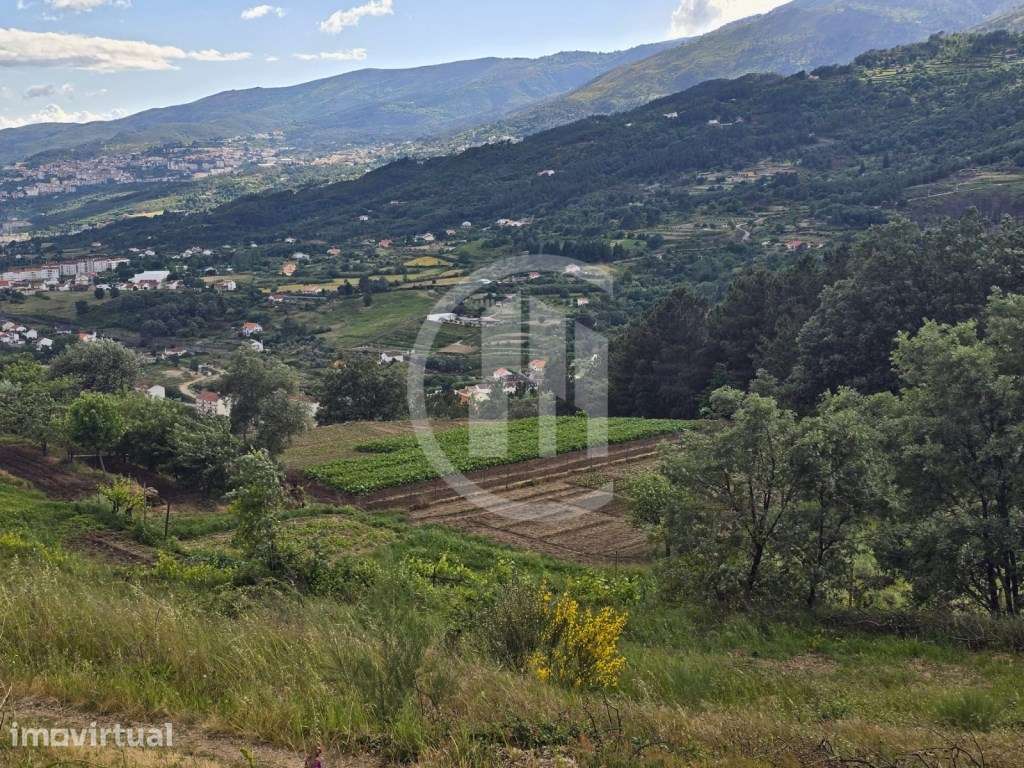 Quinta com casa rural geminada - Grande imagem: 2/10