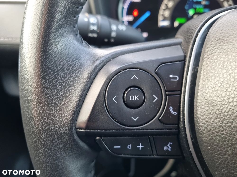 Toyota RAV4 2.5 Hybrid Comfort 4x2 - 19