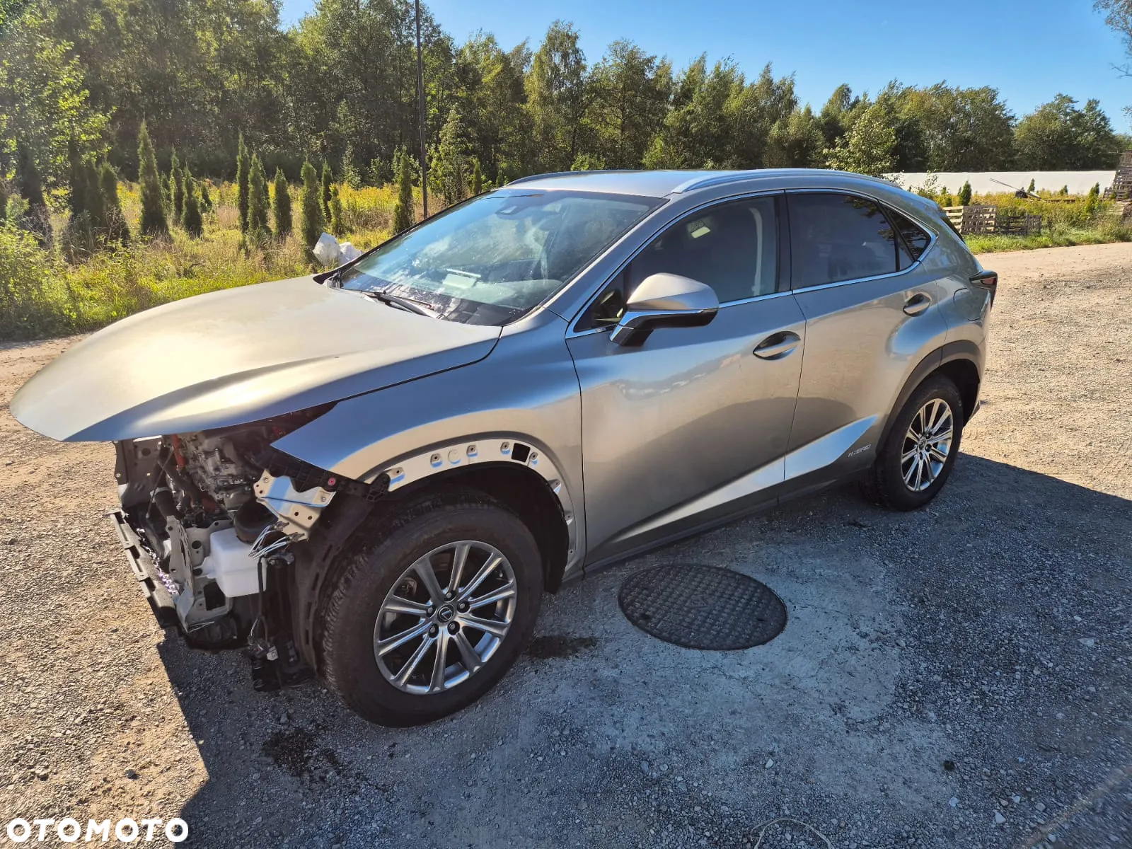 Lexus NX 300h - 15