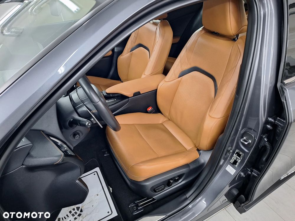 Lexus UX 300e Executive Line - 21