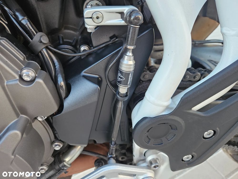Triumph Tiger - 18