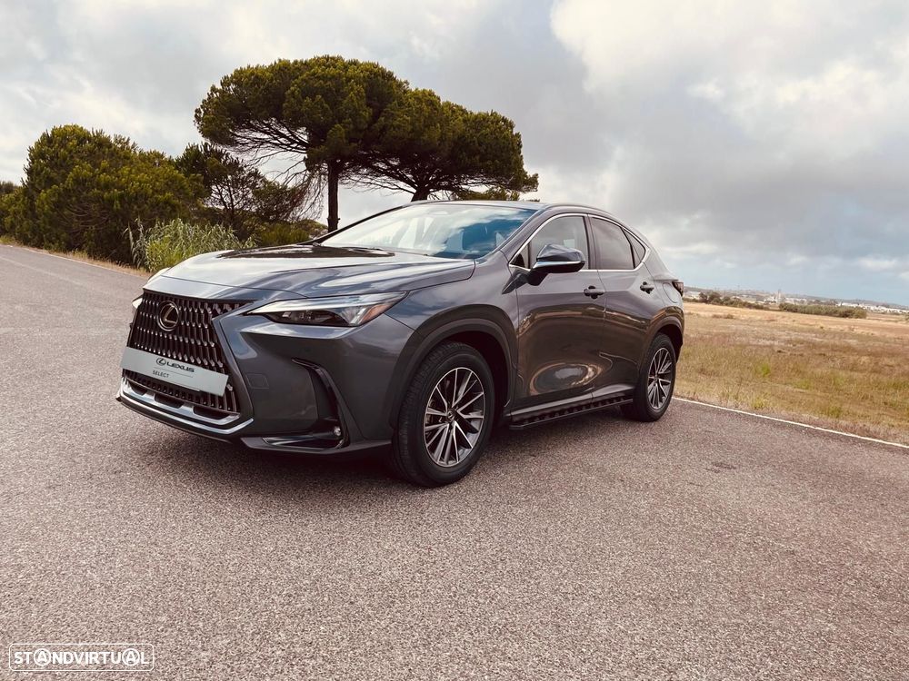 Lexus NX 450h+ Executive - 2