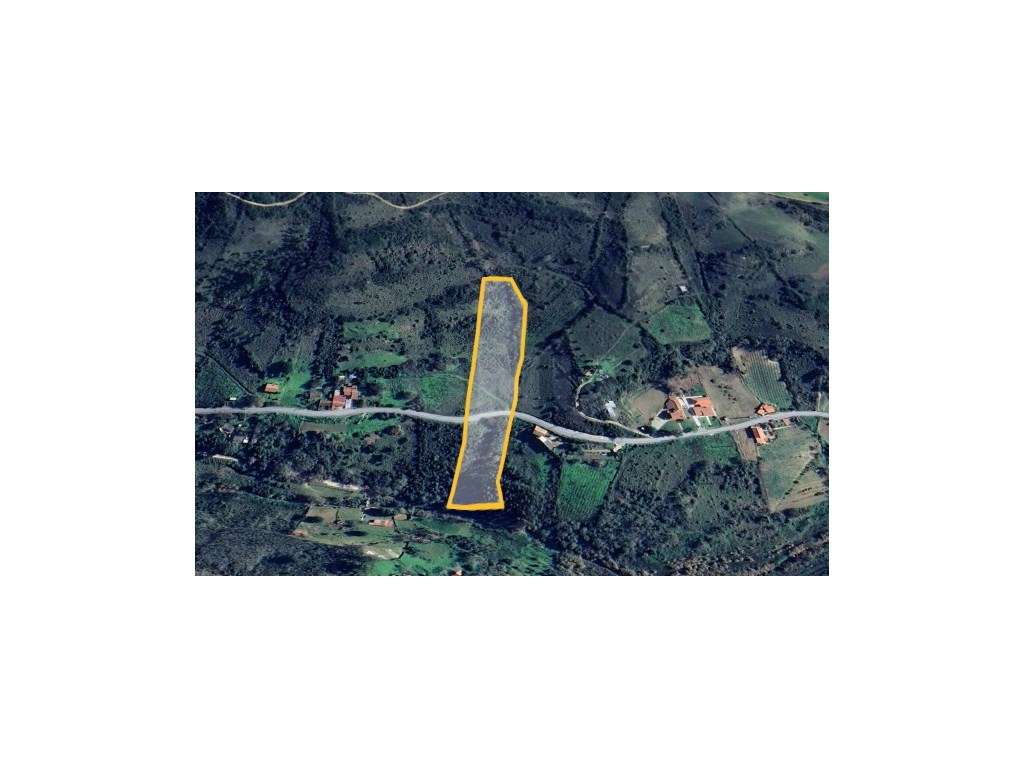 Terreno Rústico de 12000 m² para venda em Alcobela de Baixo. - Grande imagem: 2/14