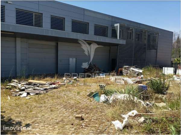 Armazém com Logradouro em Valongo do Vouga, Águeda - Grande imagem: 3/5