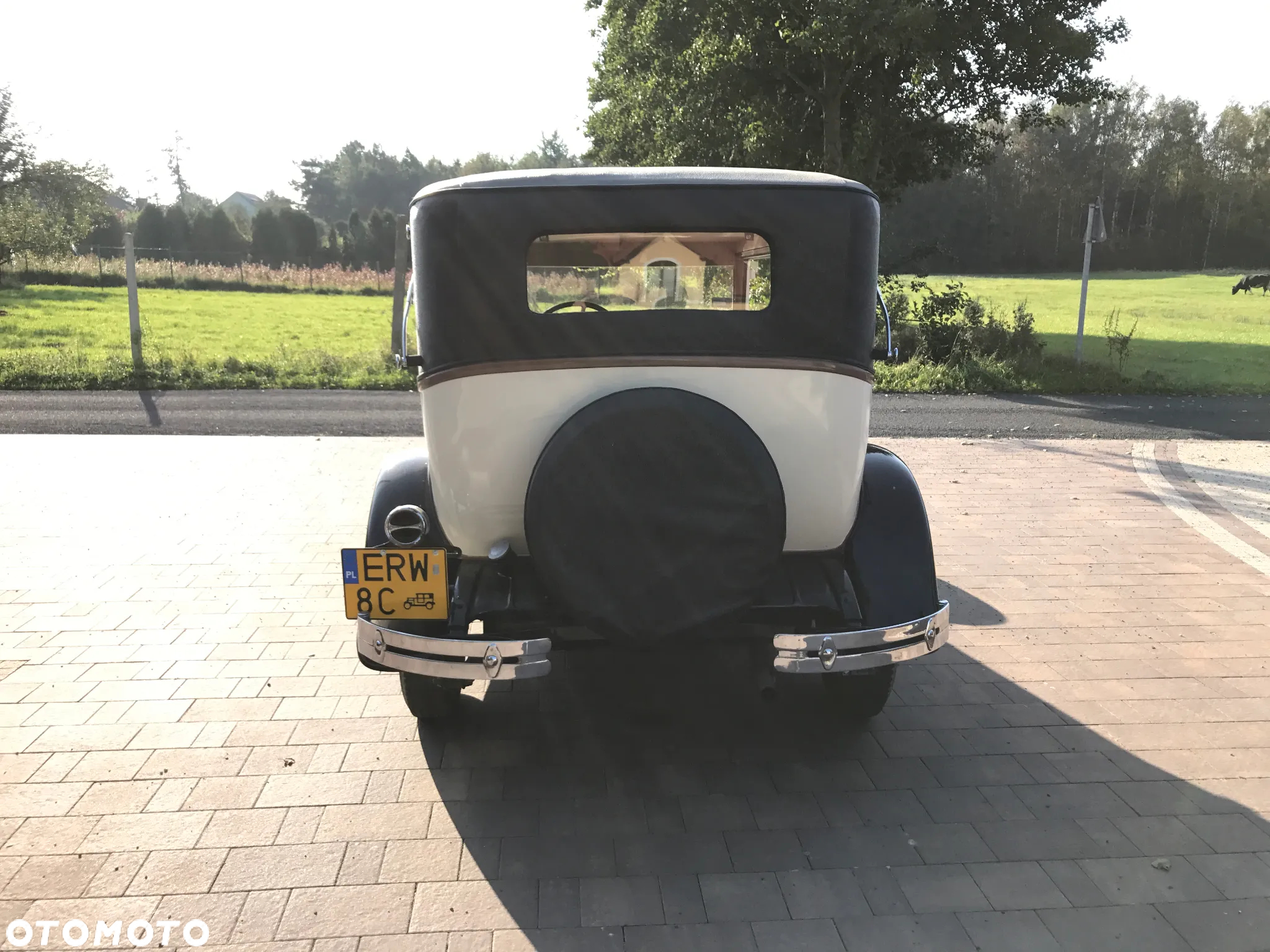 Oldsmobile Inny - 15