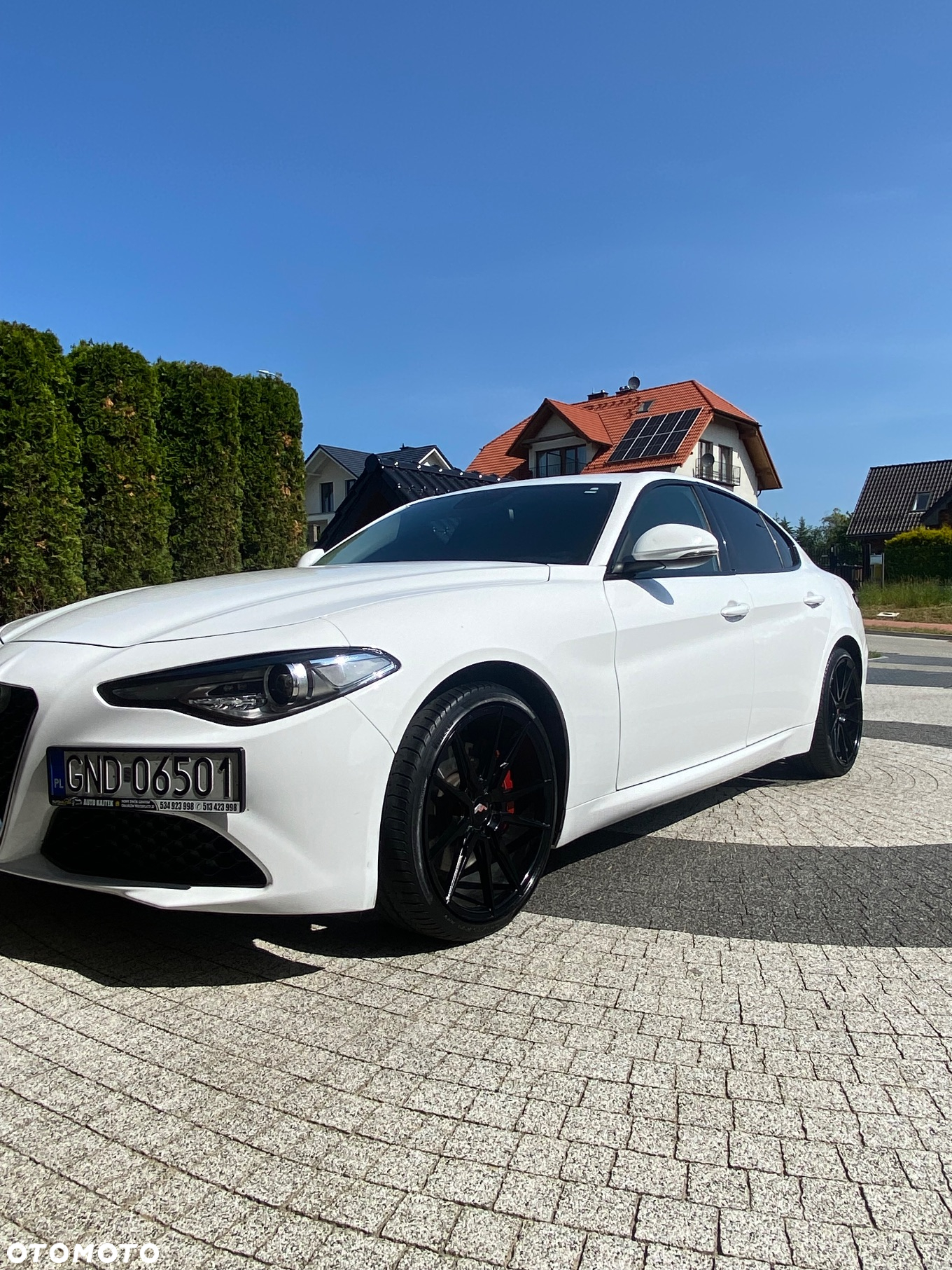Alfa Romeo Giulia 2.0 Turbo Estrema Q4 - 2
