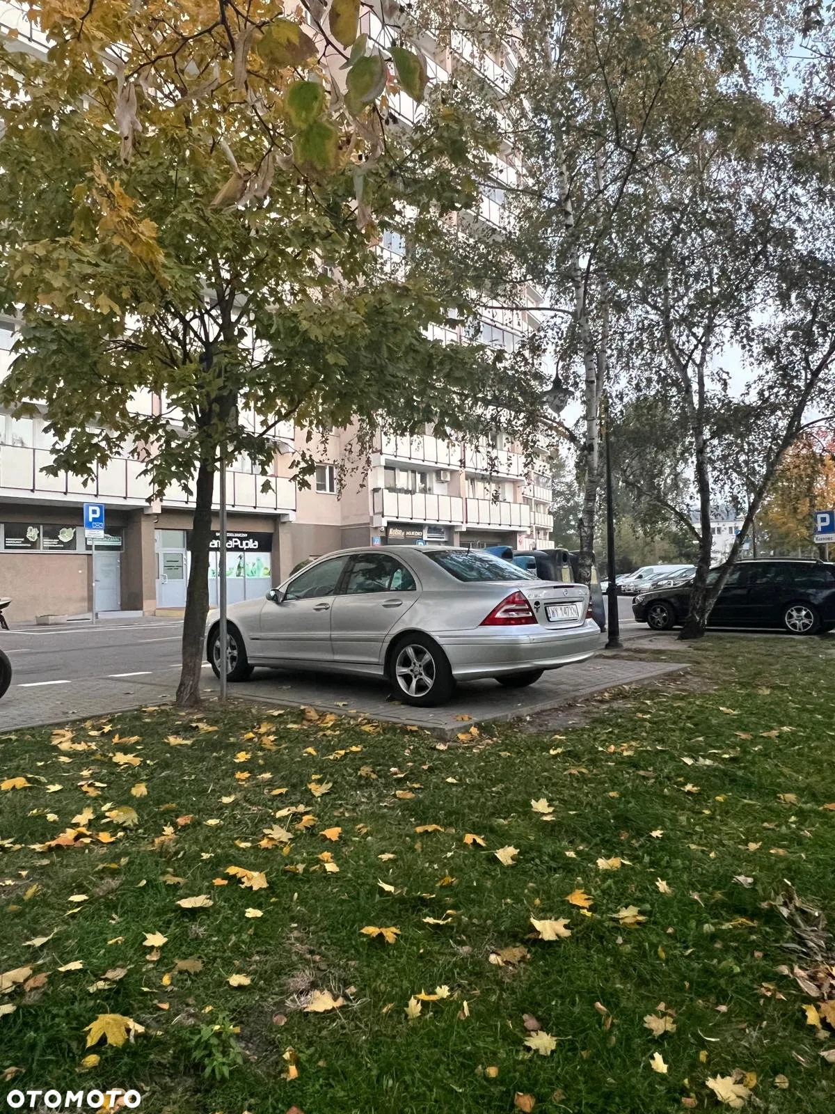 Mercedes-Benz Klasa C - 15