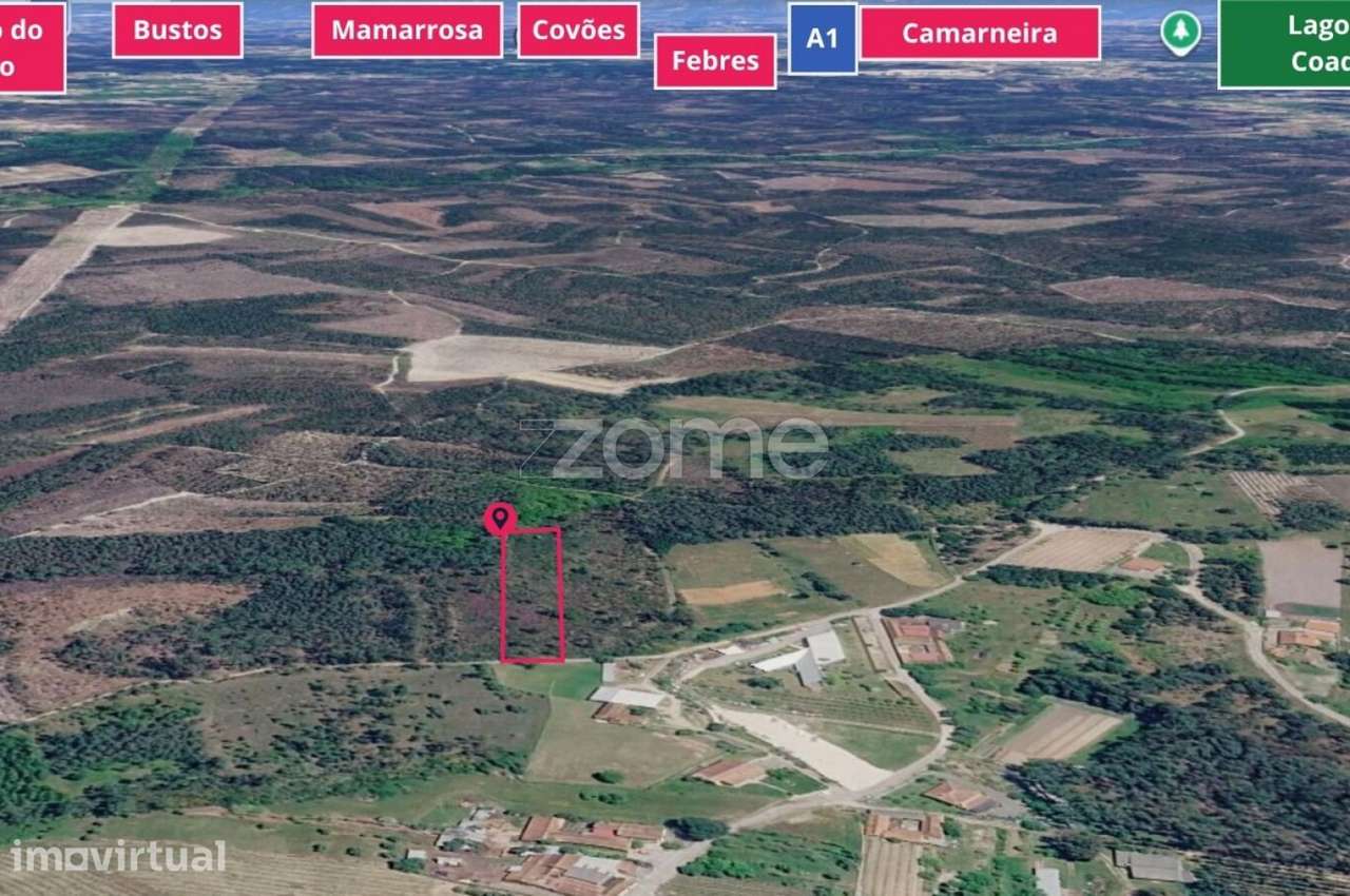 Terreno em Cantanhede - Grande imagem: 3/15
