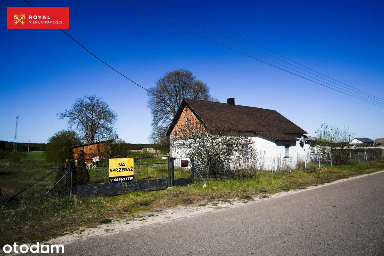 Siedlisko we wsi Lipianki 42 - Pełny obrazek: 4/6