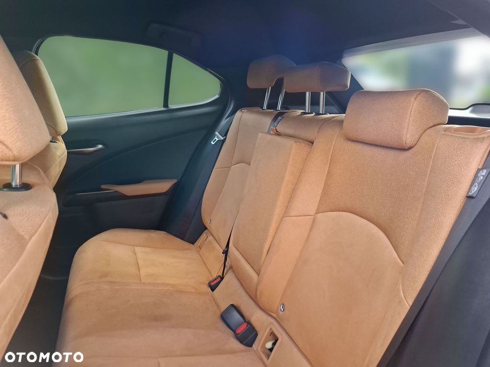 Lexus UX 300h Business - 14