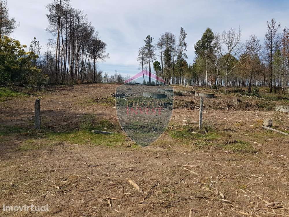 Terreno  Venda em Espinho,Mangualde - Grande imagem: 5/9