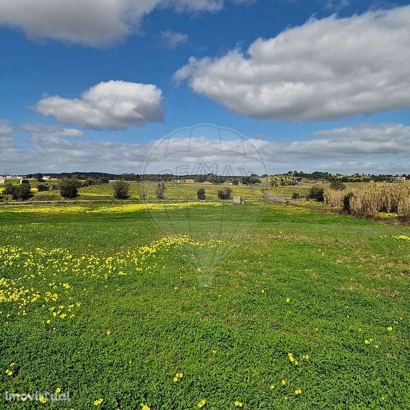 Terreno  para venda - Grande imagem: 5/7