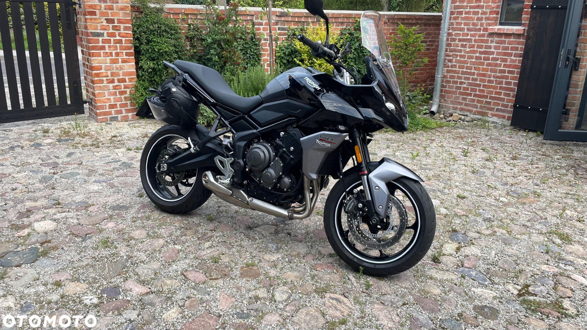 Triumph Tiger - 10