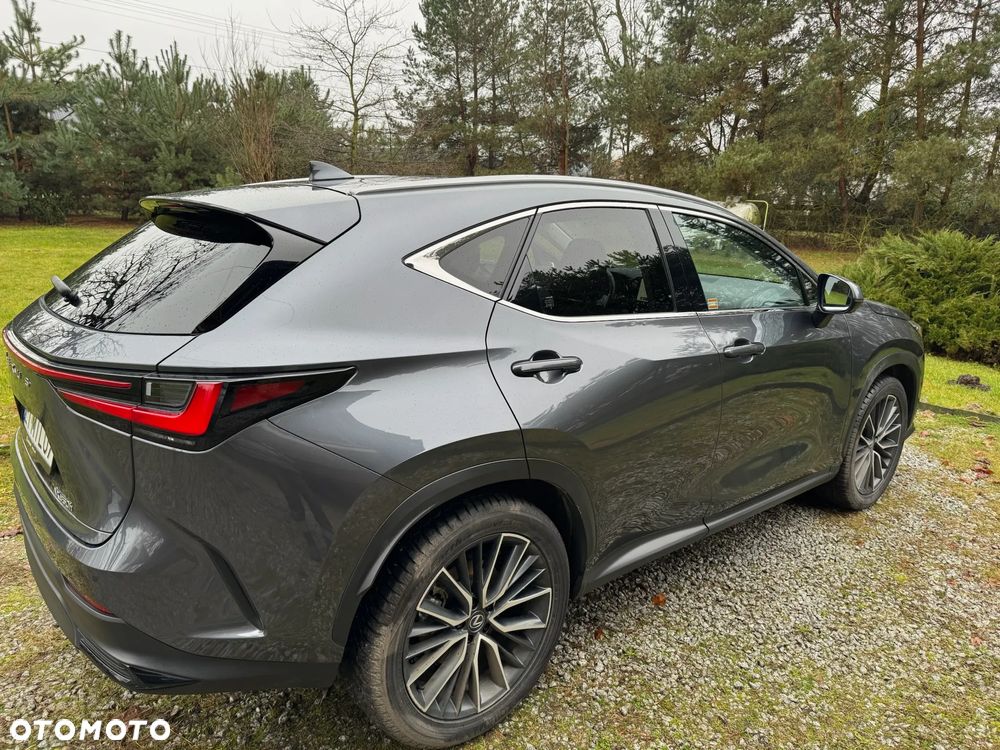 Lexus NX 350h Omotenashi AWD - 4