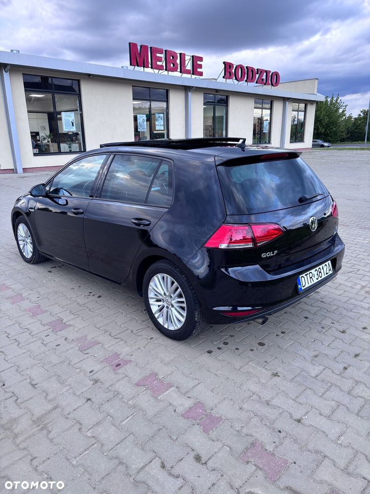 Volkswagen Golf 1.6 TDI BlueMotion Technology Cup - 5