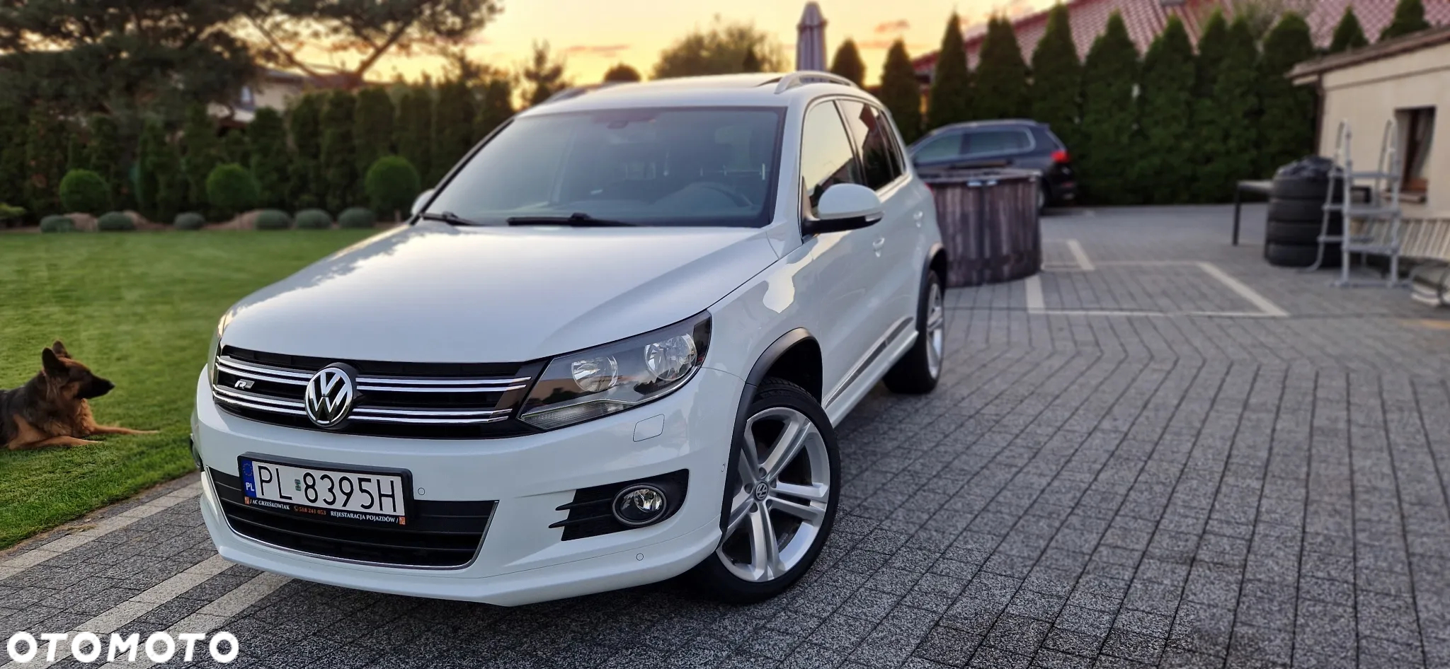 Volkswagen Tiguan 1.4 TSI 4Mot R-Style - 13