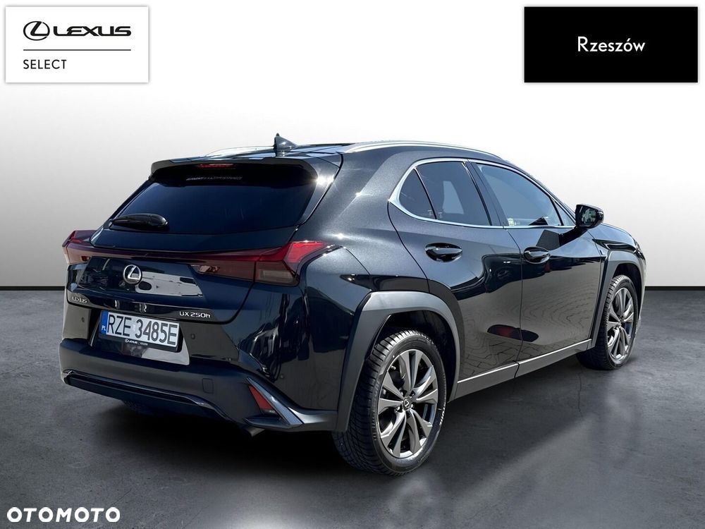 Lexus UX 250h GPF F Sport Design+ 2WD - 5