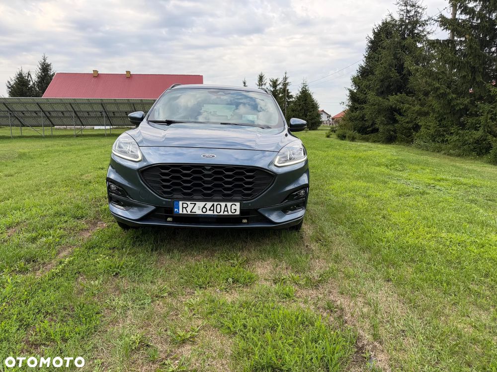 Ford Kuga 2.0 EcoBlue AWD ST-Line X - 2