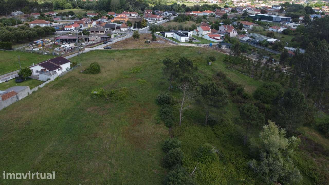 Terreno Rústico de 7000m² na Bairrada - Grande imagem: 2/8