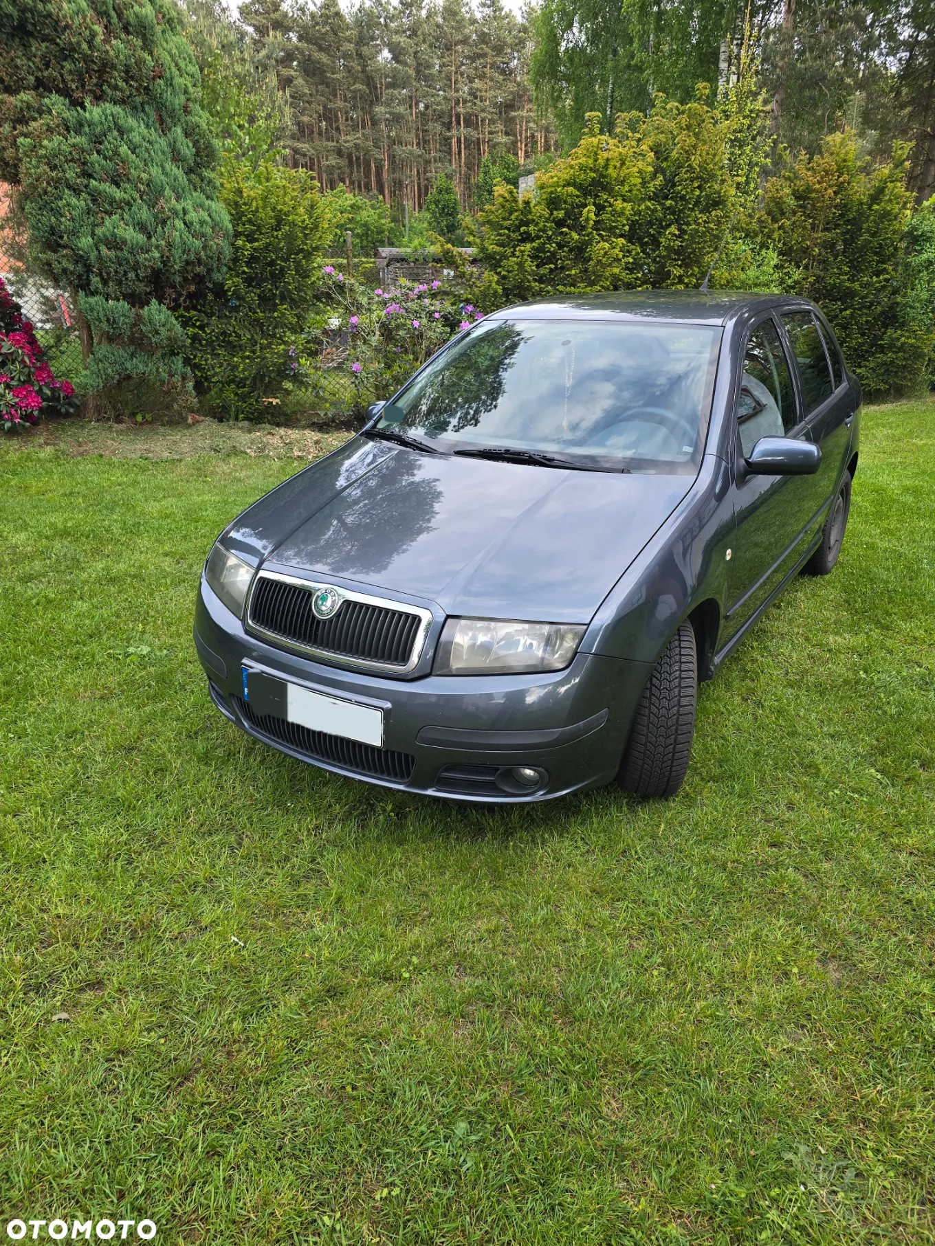 Skoda Fabia - 4