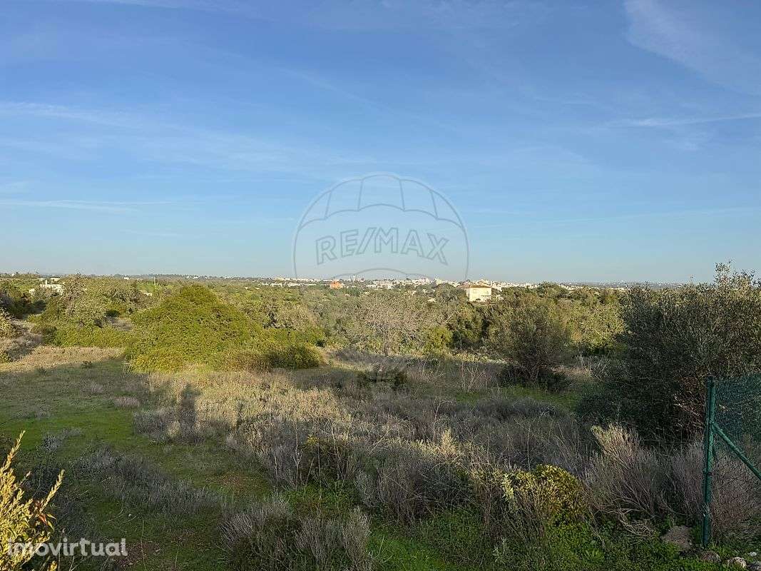 Terreno  para venda - Grande imagem: 3/16