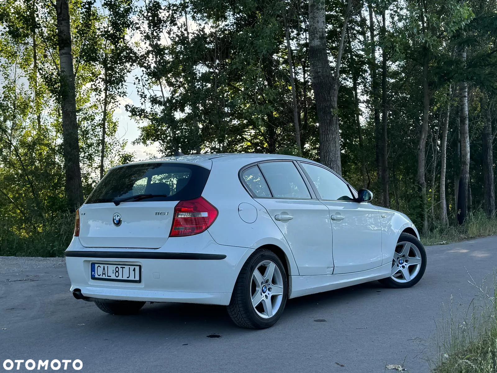 BMW Seria 1 116i - 8