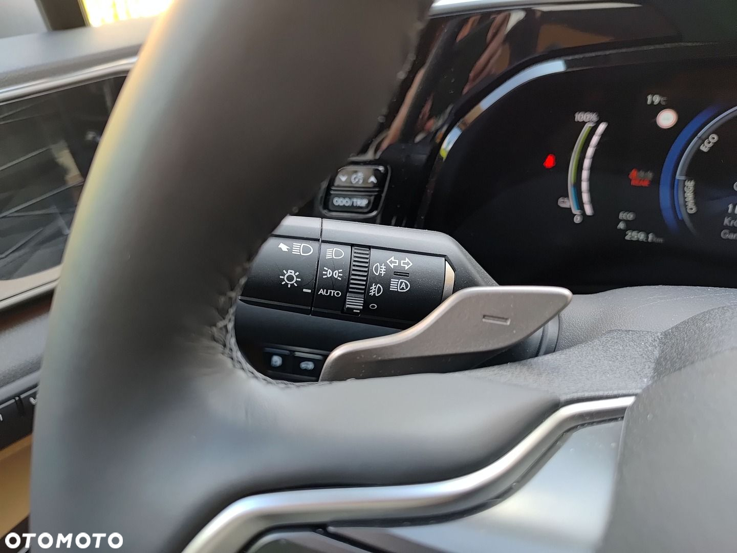 Lexus NX - 21