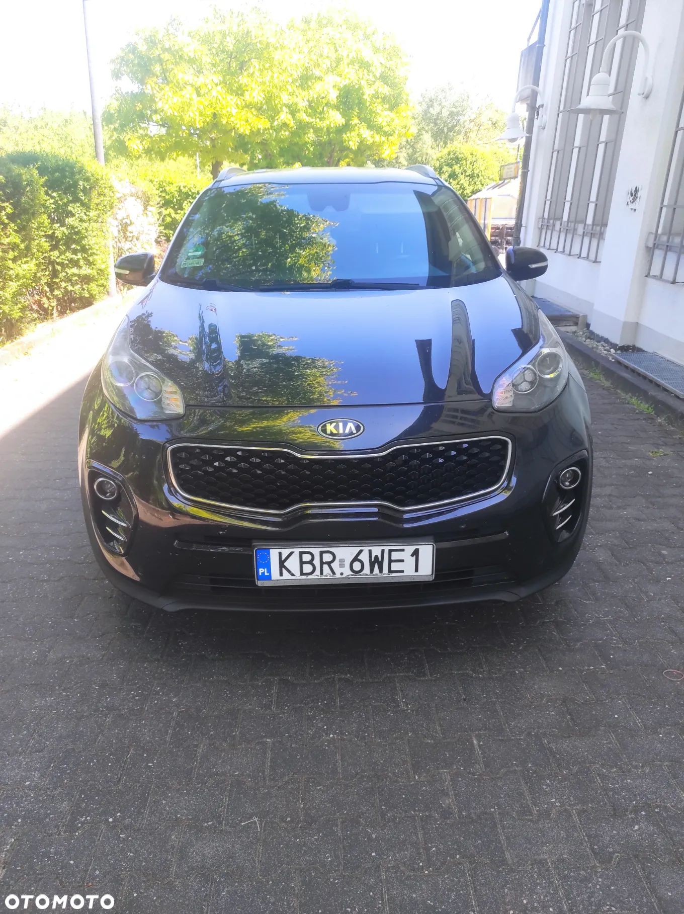 Kia Sportage - 1