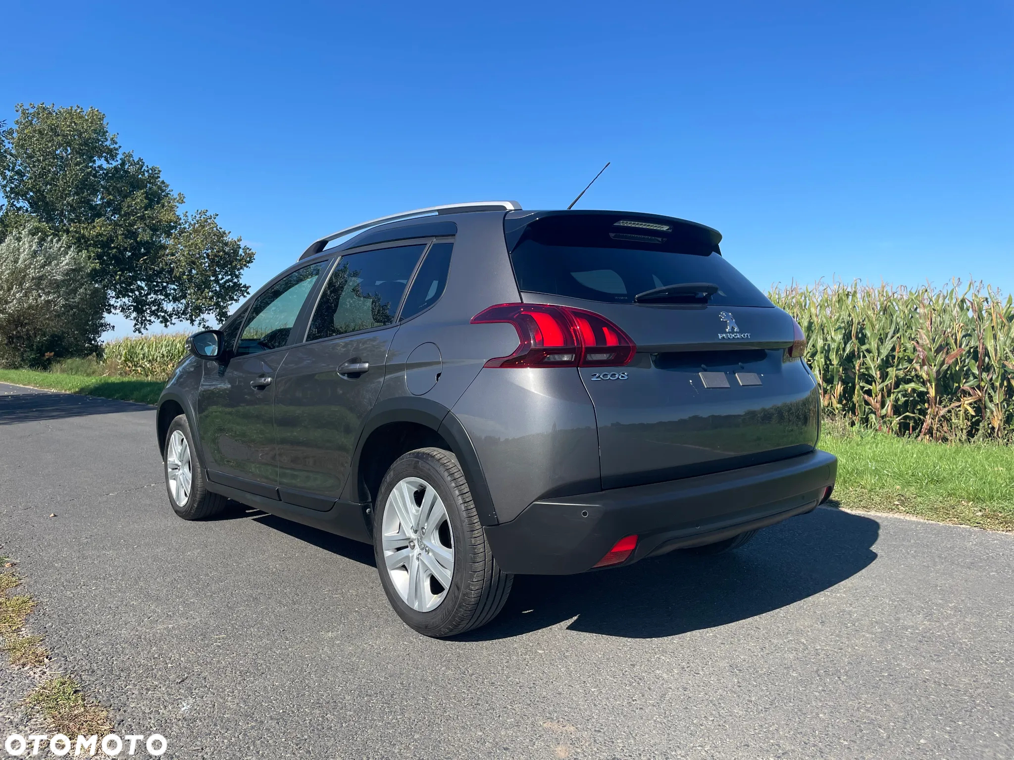 Peugeot 2008 1.2 Pure Tech Access - 14