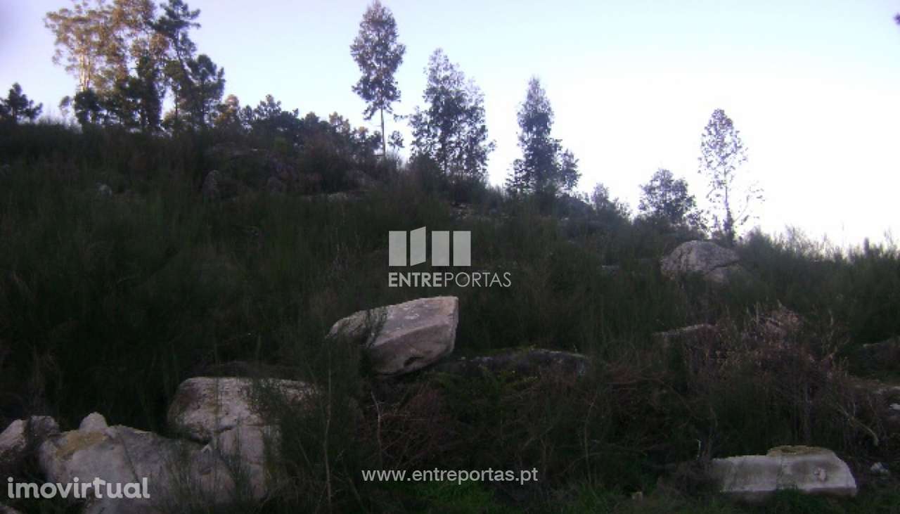 Venda Terreno, Maureles, Marco de Canaveses - Grande imagem: 2/5