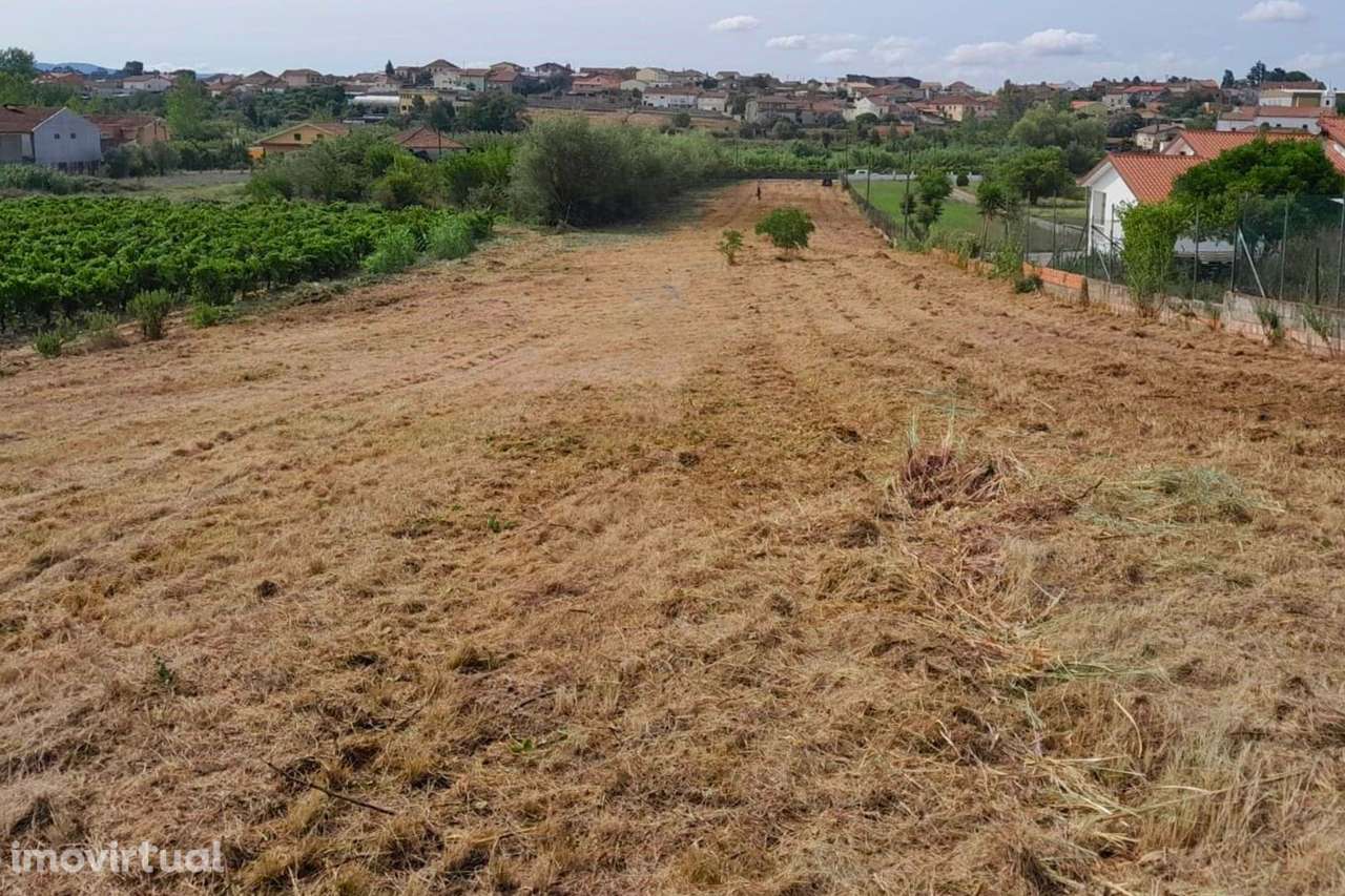 Terreno, Aveiro, Mealhada, Mealhada, Ventosa do Bairro e Antes - Grande imagem: 4/5
