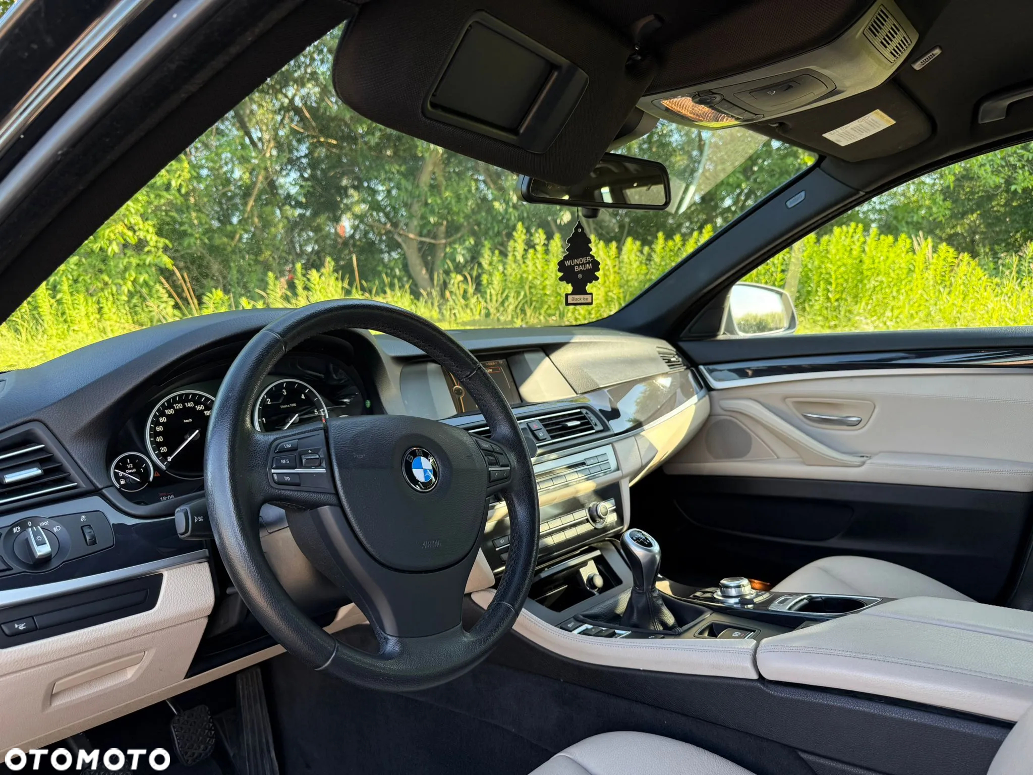 BMW Seria 5 520d Touring Luxury Line - 17