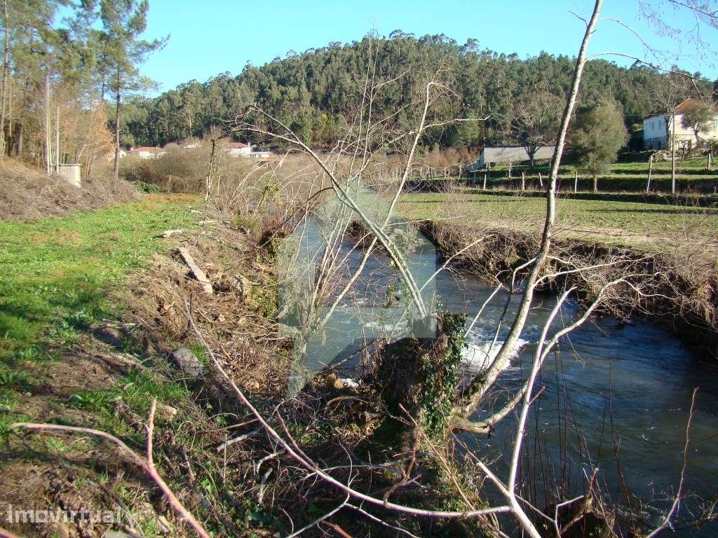 Terreno em Cossourado - Grande imagem: 5/53