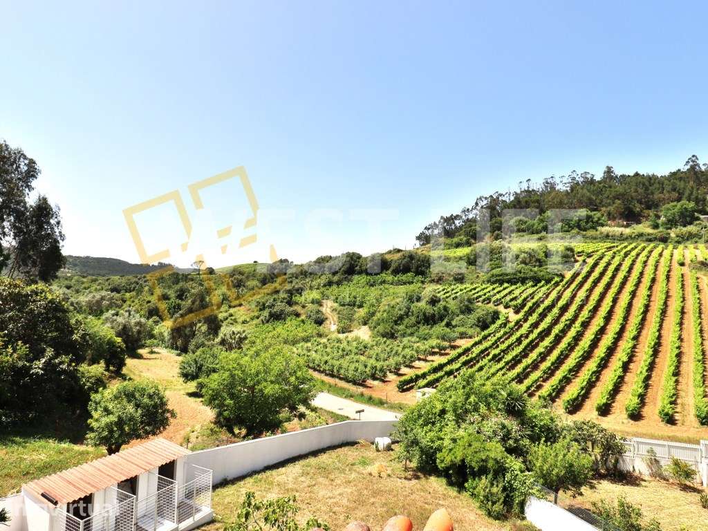 Quintinha T3 com Vista Desafogada para o Campo - EXCLUSIVO WEST LIF... - Grande imagem: 3/34