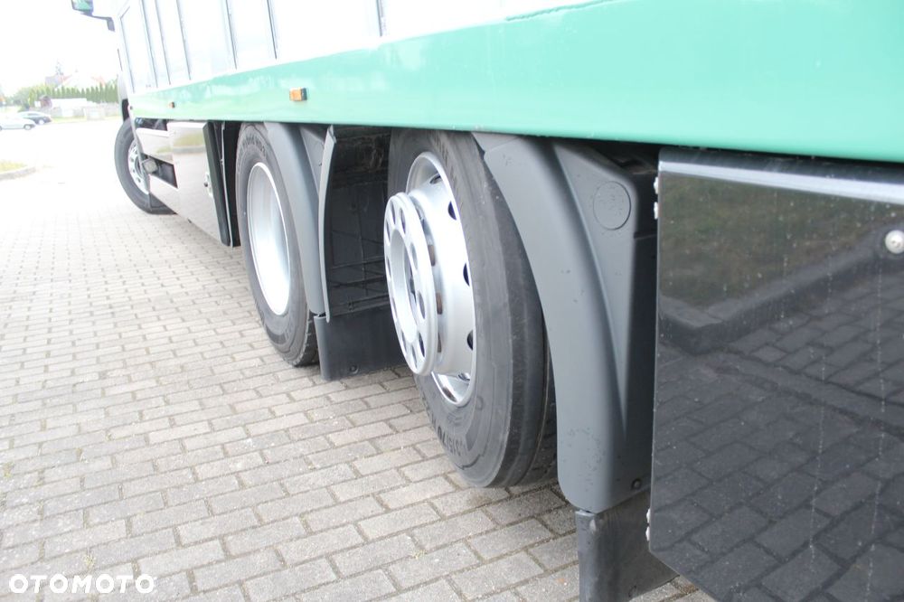 MAN TGS 26.440 DO ŻYWCA ZWIERZĄT BYDŁA Z NIEMIEC - 23