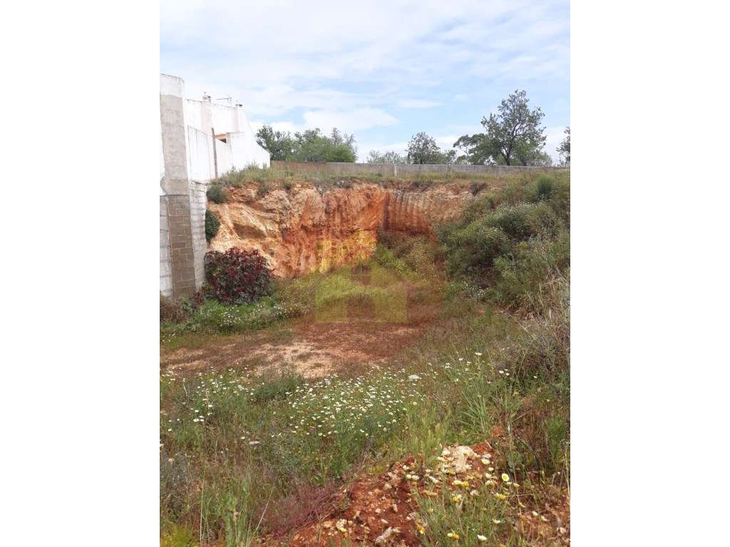 Lote de Terreno para Venda no Calvário, Lagoa - Grande imagem: 5/10