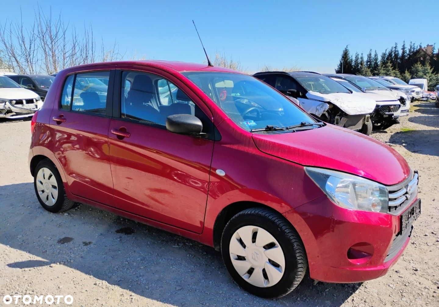 Suzuki Celerio - 18