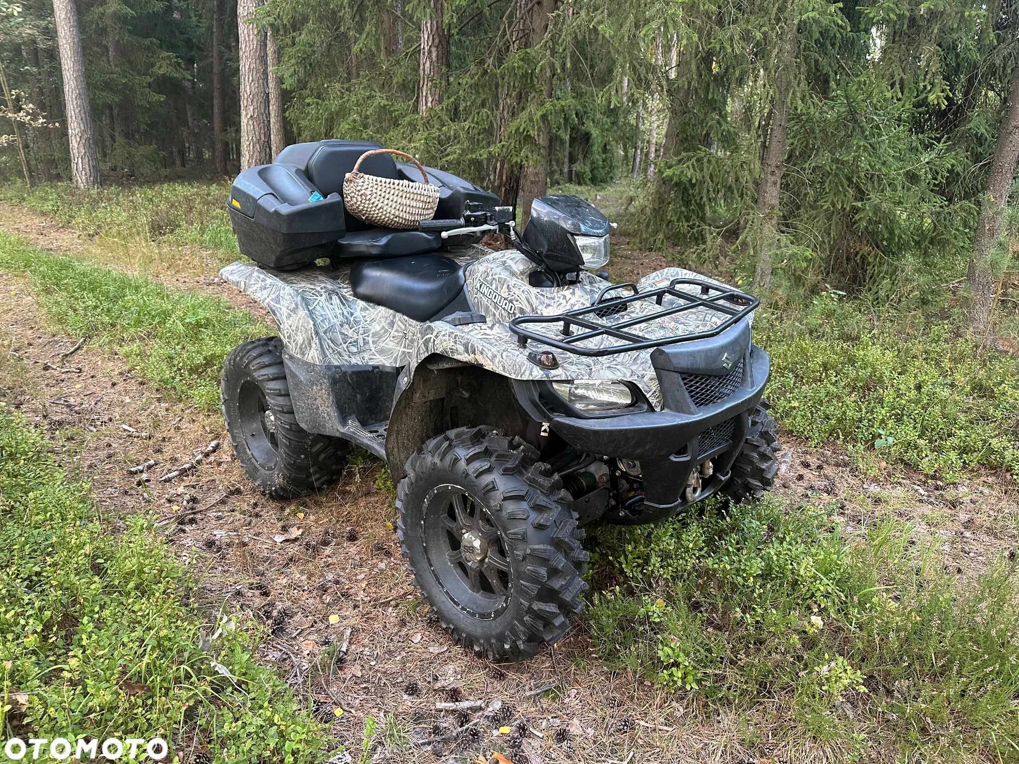 Suzuki Kingquad