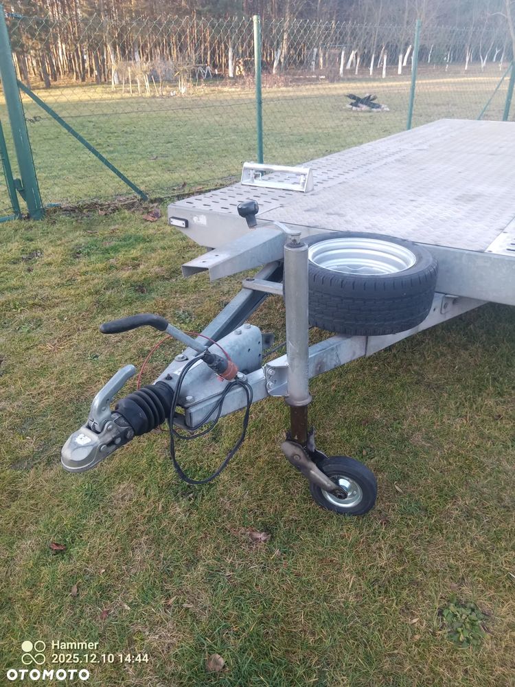 Niewiadów BORO MARS - 7