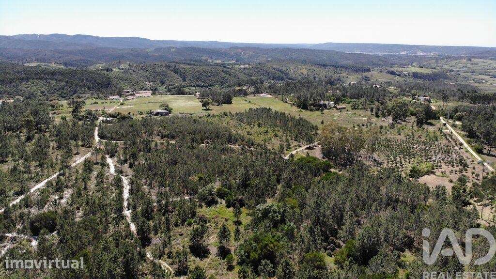 Terreno para construção em Aljezur de 300,00 m2 - Grande imagem: 3/30