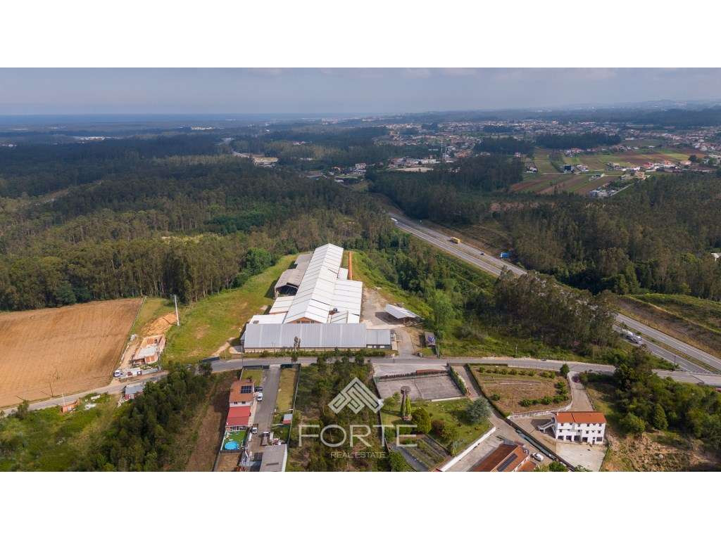 Armazém destinado a indústria, São João de Ovar - Grande imagem: 3/37