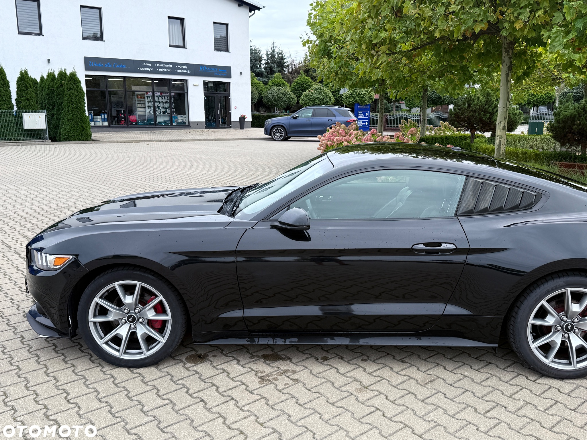 Ford Mustang 2.3 EcoBoost - 18